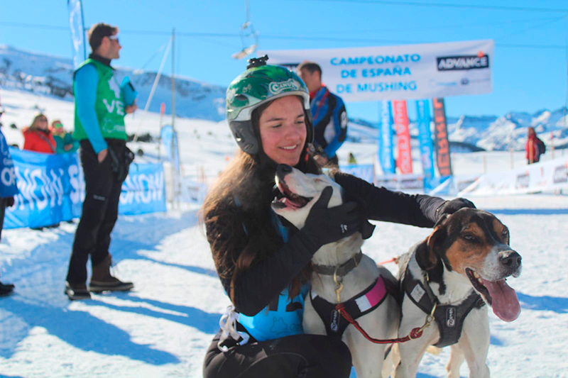 Cuatro medallas para Navarra en el Campeonato de España de Mushing Tierra
